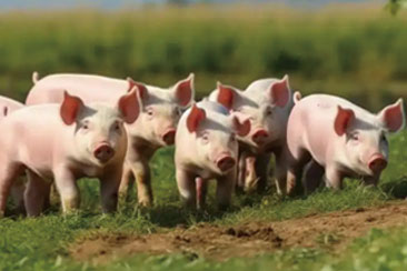 行業（yè）圖片